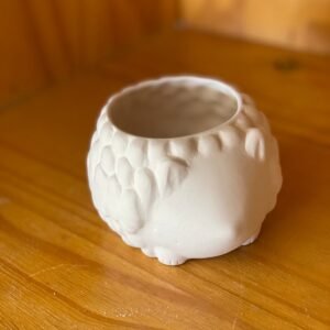 Maceta de puercoespín