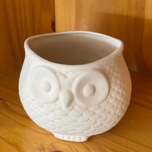 Maceta de búho grande